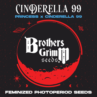 Brother's Grimm Seeds® Cinderella 99 XX 3 Pack Fem