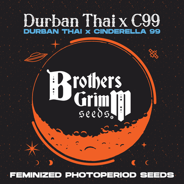 Brother's Grimm Seeds® Durban Thai X C99 XX 3 Pack Fem