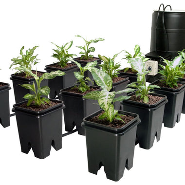 Active Aqua Grow Flow Ebb & Flow System — 12 Site, 5 Gallon