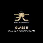 3RD COAST Glass II (MAC V2 X PUREMICHIGAN) REG