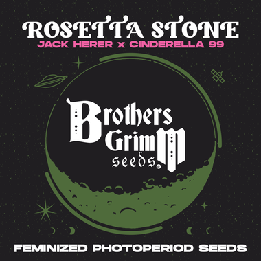 Brother's Grimm Seeds® Rosetta Stone XX 9 Pack Fem