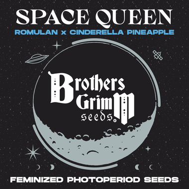 Brother's Grimm Seeds® Space Queen XX 9 Pack Fem