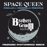 Brother's Grimm Seeds® Space Queen XX 3 Pack Fem