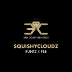 3RD COAST Squishy Cloudz (RUNTZ X PBB)