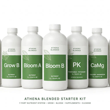 Athena Blended Starter Kit