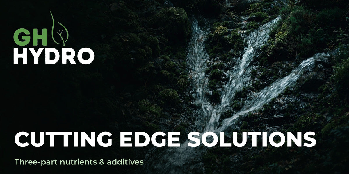Cutting Edge Solutions — Green Harvest Hydroponics