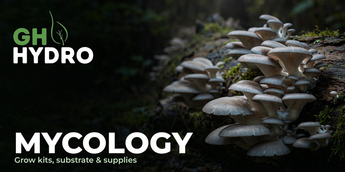 Mycology — Green Harvest Hydroponics