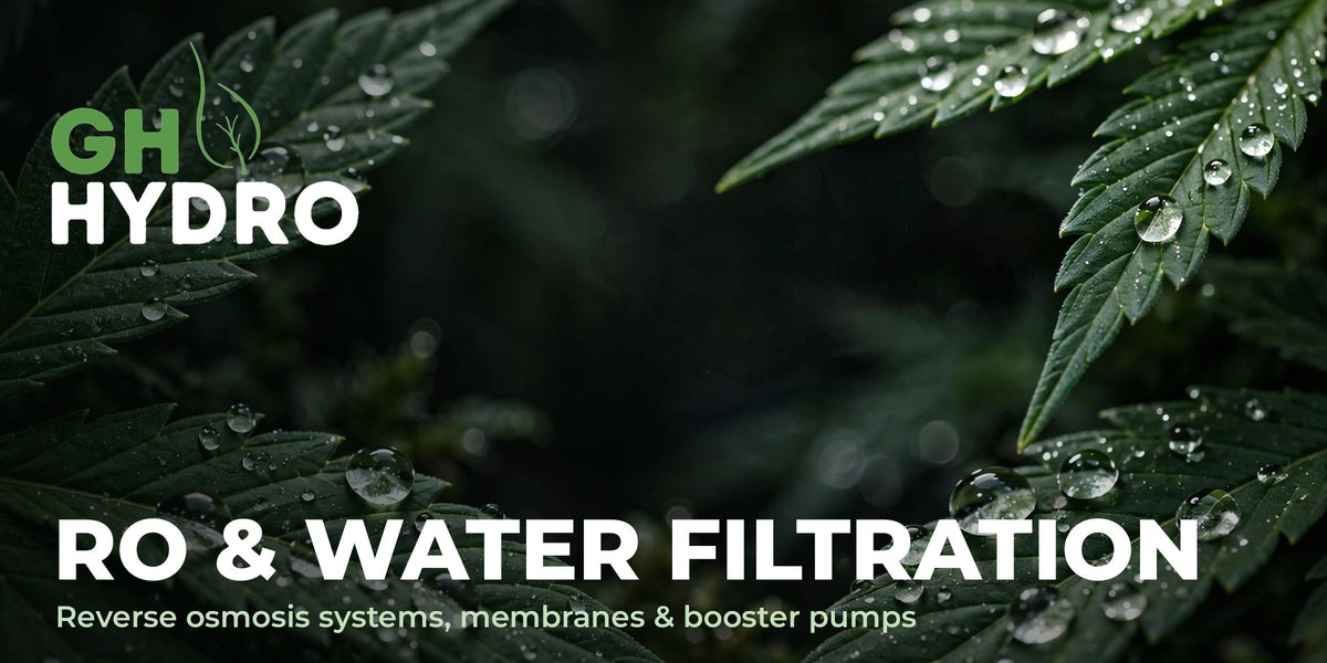 RO & Water Filtration