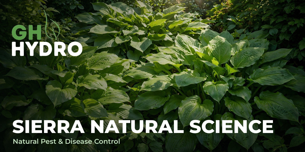 Sierra Natural Science