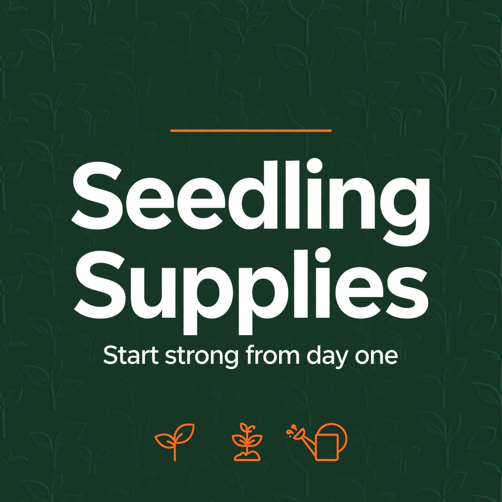 Seedling Supplies