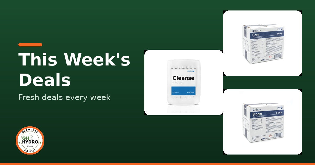 This Week's Deals