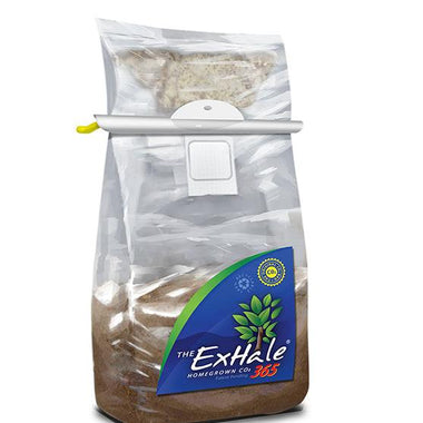 ExHale 365 Self-Activated CO2 Bag