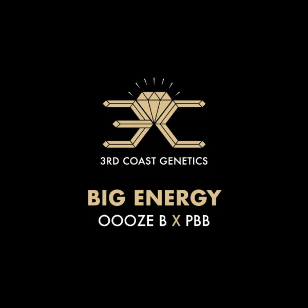 3RD COAST Big Energy (OOOZE B X PBB) REG