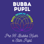 MMS Bubba Pupil (Pre 98 Bubba Kush x Star Pupil) FEM