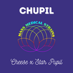 MMS Chupil (Cheese x Star Pupil) FEM