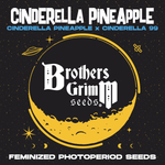 Brother's Grimm Seeds® Cinderella 99 Pineapple XX 3 Pack Fem