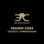 3RD COAST Frozen Coke (OOOZE B X PUREMICHIGAN) REG