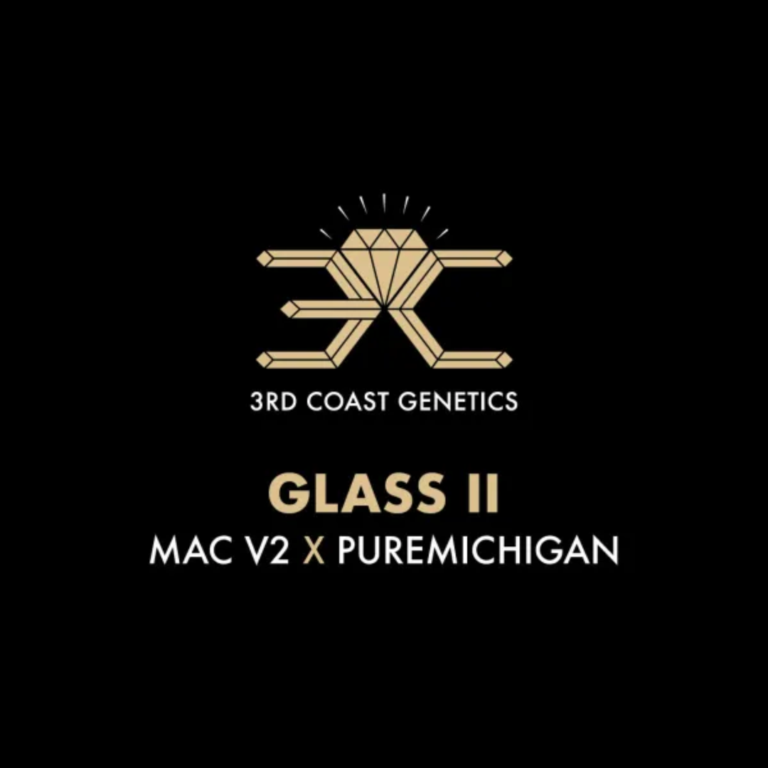 3RD COAST Glass II (MAC V2 X PUREMICHIGAN) REG