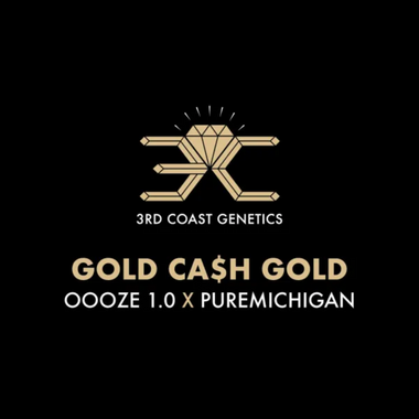 3RD COAST Gold Ca$h Gold (OOOZE 1.0 X PUREMICHIGAN) REG