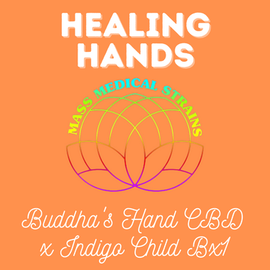 MMS Healing Hands (Buddha's Hand CBD x Indigo Child Bx1) REG