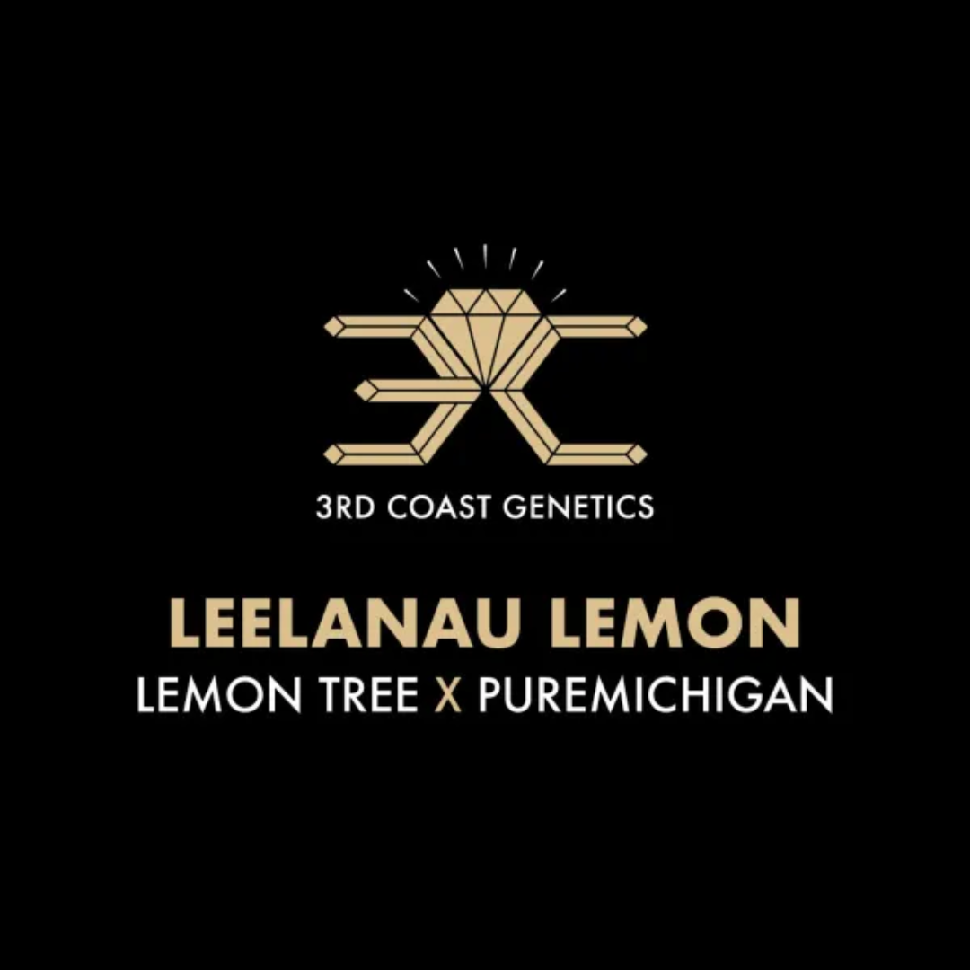 3RD COAST Leelanau Lemon (LEMON TREE X PUREMICHIGAN) REG