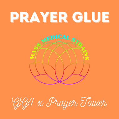 MMS Prayer Glue (GG4 x Prayer Tower Sativa) REG