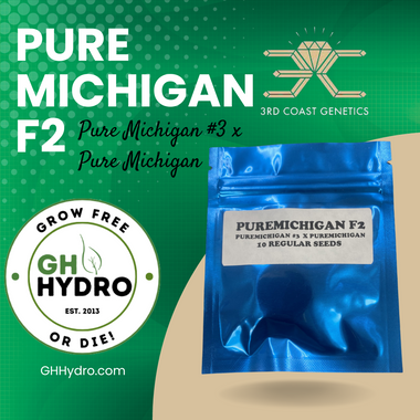 3RD COAST Pure Michigan F2 (PUREMICHIGAN #3 X PUREMICHIGAN) REG