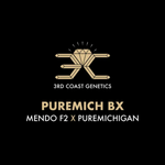 3RD COAST Puremich BX (MENDO F2 X PUREMICHIGAN) REG