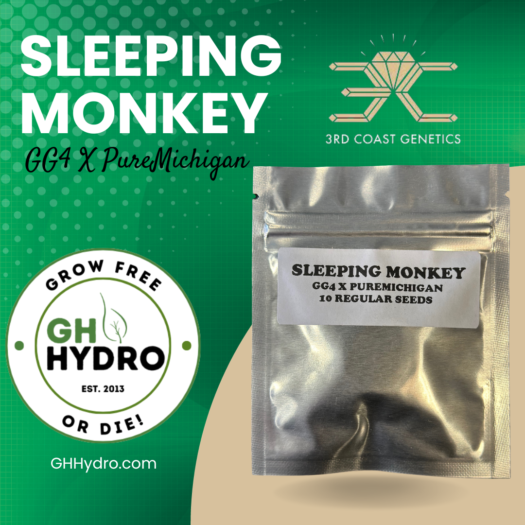 3RD COAST Sleeping Monkey (GG4 X PUREMICHIGAN) REG