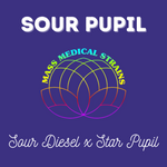 MMS Sour Pupil (Sour Diesel x Star Pupil) FEM