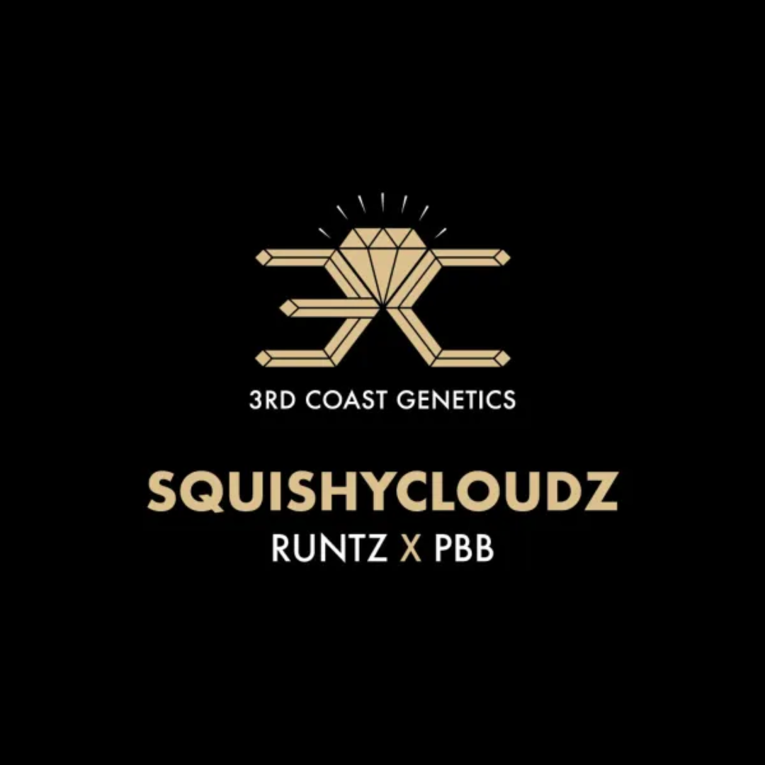 3RD COAST Squishy Cloudz (RUNTZ X PBB)