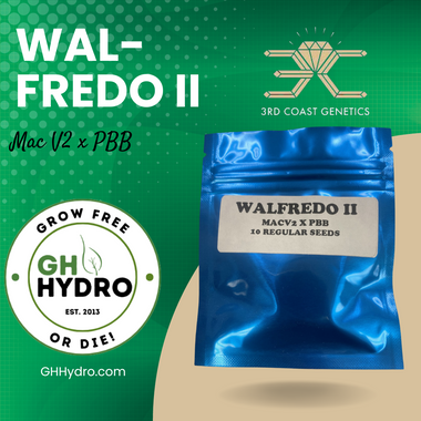 3RD COAST Walfredo II (MAC V2 X PBB) REG