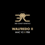 3RD COAST Walfredo II (MAC V2 X PBB) REG