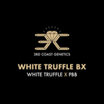 3RD COAST White Truffle (WHITE TRUFFLE X PBB) REG