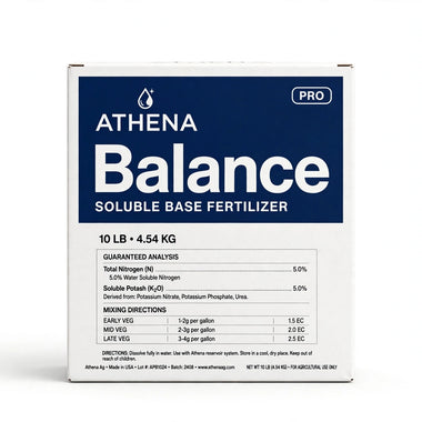 Athena Pro Balance 10lb Box