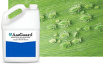 AzaGuard Insecticide & Nematicide - 1 Gallon