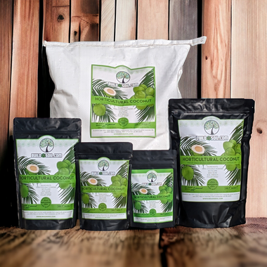BuildASoil Coconut Water Powder 0.5 lb