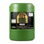 Emerald Harvest King Kola