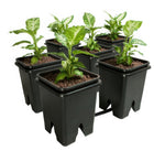 Active Aqua Grow Flow 2.0 Expansion Kit — Six 5 Gallon Pots