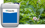 Guarda Bactericide & Fungicide - 2.5 Gallon