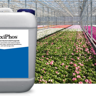 OxiPhos Bactericide & Fungicide - 2.5 Gallon