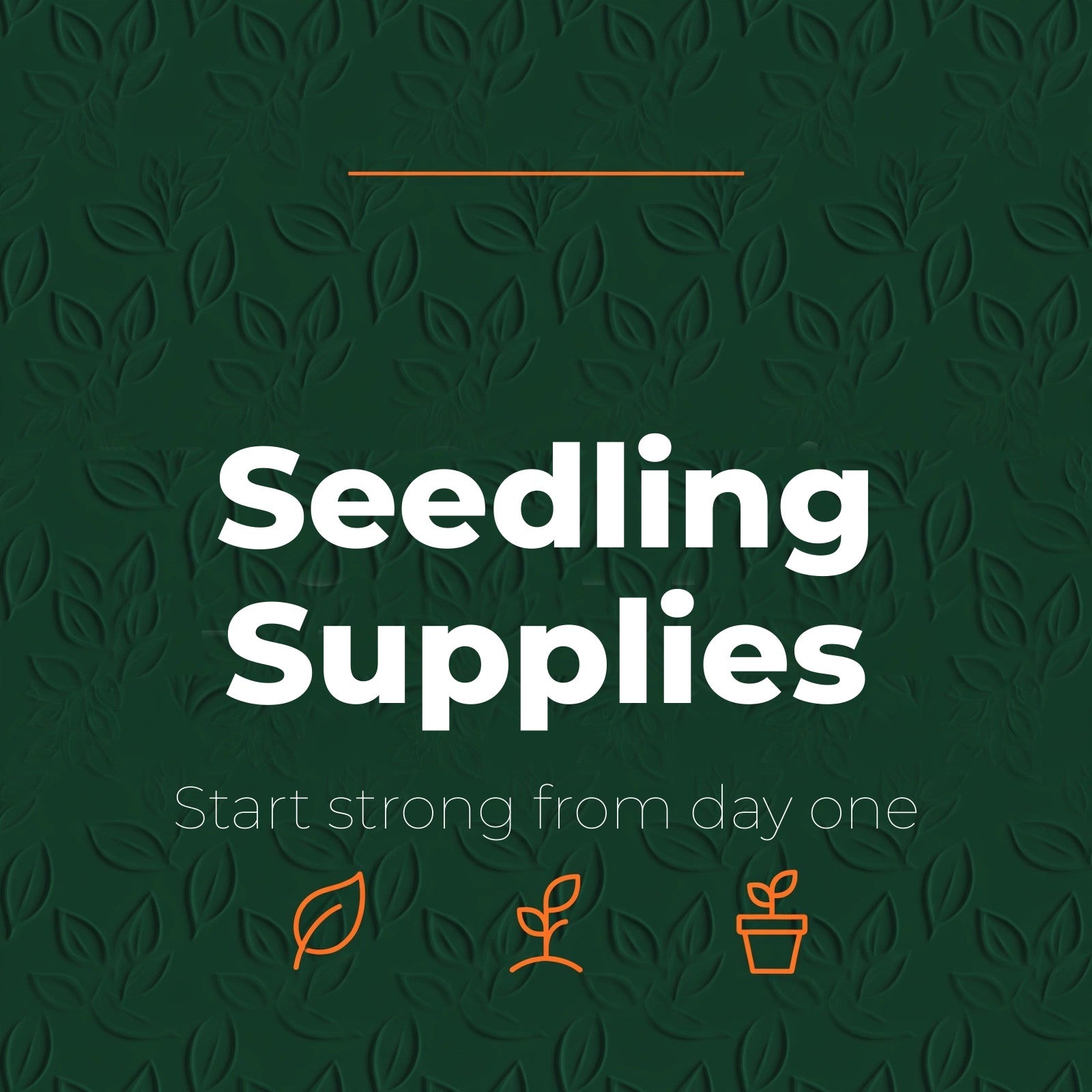 seedling-tile-final.jpg