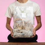 4-pack 'ShroomTek' + Spore Boostr All-in-One Mushroom Grow Bag