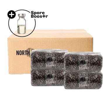 4-pack 'ShroomTek' + Spore Boostr All-in-One Mushroom Grow Bag