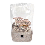 ShroomTek' + Spore Boostr All-In-One Mushroom Grow Bag